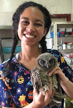 WSU student Elizabeth Flume holds owl receiving help at Universidad Nacional de Colombia.