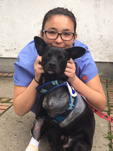 Christine Nishimoto with a canine patient at UNAL’s School of Veterinary Medicine
